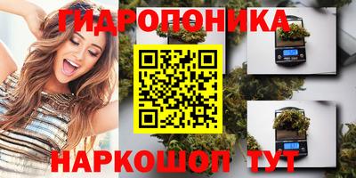 винт Камышлов