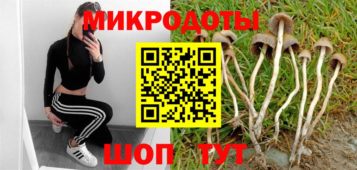 Псилоцибиновые грибы прущие грибы Балтийск