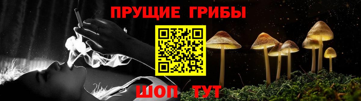 Псилоцибиновые грибы ЛСД  Псилоцибиновые грибы мицелий  цены наркотик  Балтийск  Вход с VPN 
